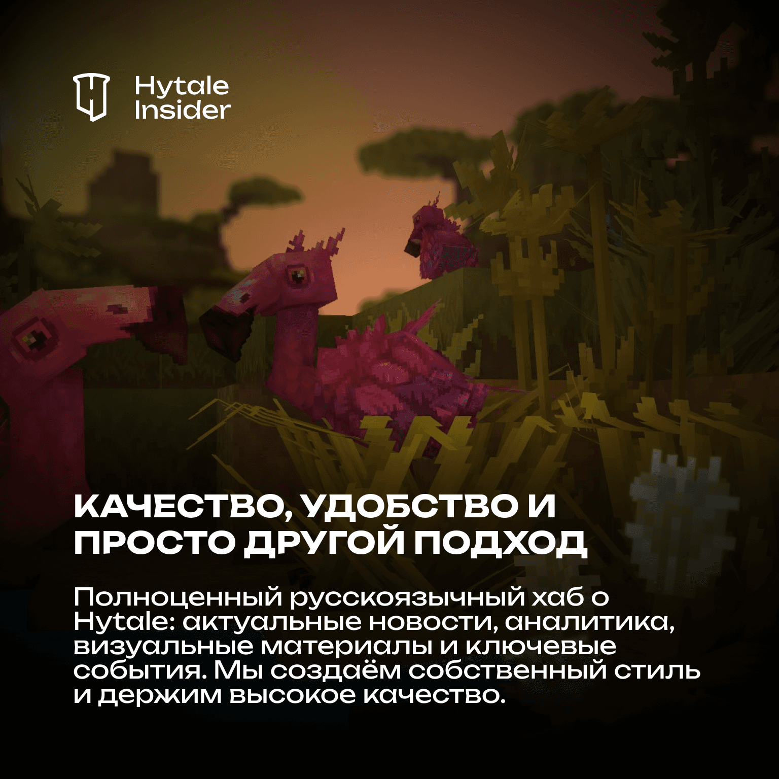 Project media 1